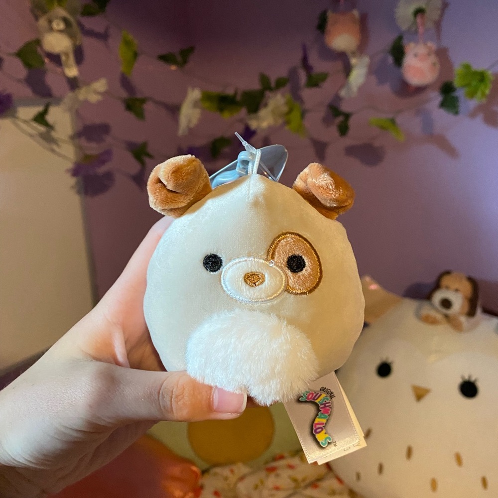 harrison the dog squishmallow